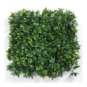 APW-011-Dense-Oval-Leaf-Hedge-Panel